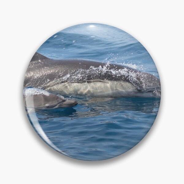 Item preview, Long Beaked Common Dolphin designed and sold by LaurenTucker.