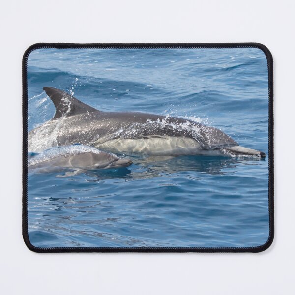 Item preview, Long Beaked Common Dolphin designed and sold by LaurenTucker.