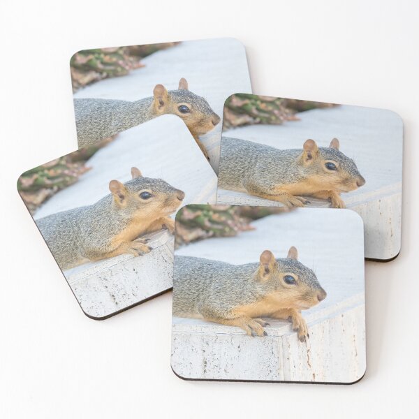 Item preview, Easter Fox Squirrel designed and sold by LaurenTucker.