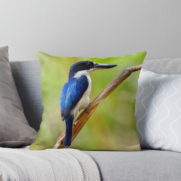 Item preview, river kingfisher designed and sold by mhall.