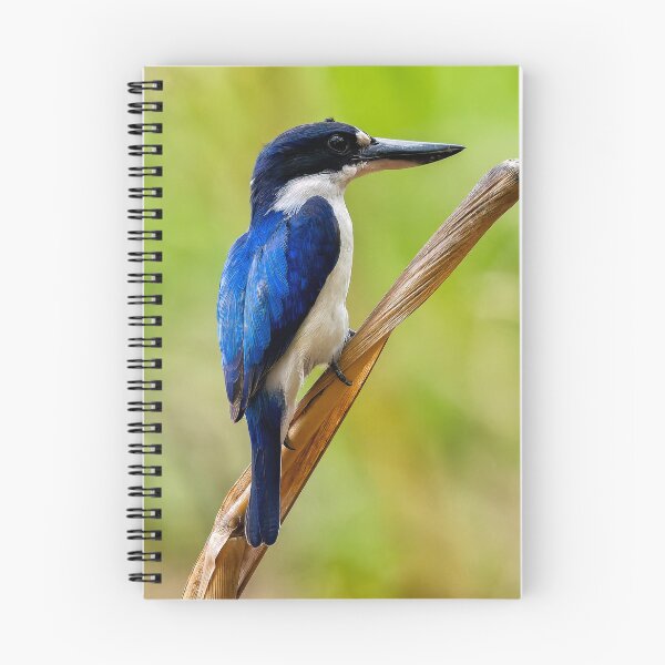 Item preview, river kingfisher designed and sold by mhall.