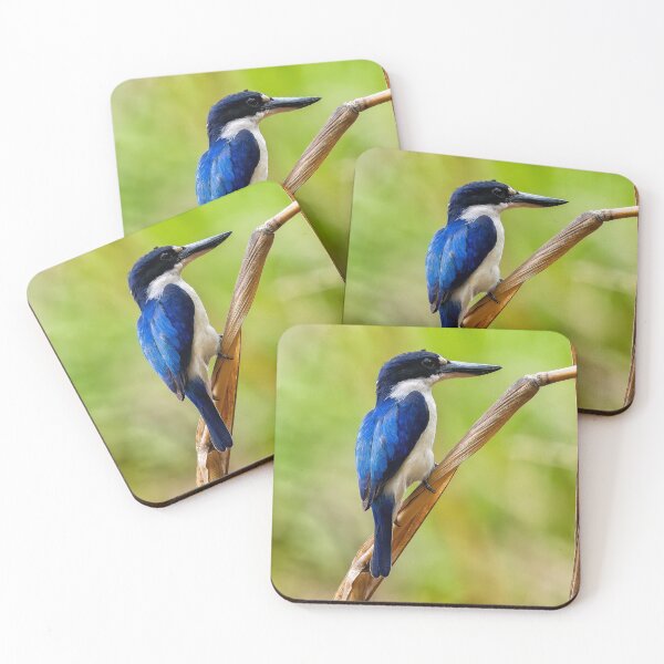 Item preview, river kingfisher designed and sold by mhall.