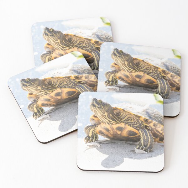 Item preview, Turtle designed and sold by LaurenTucker.