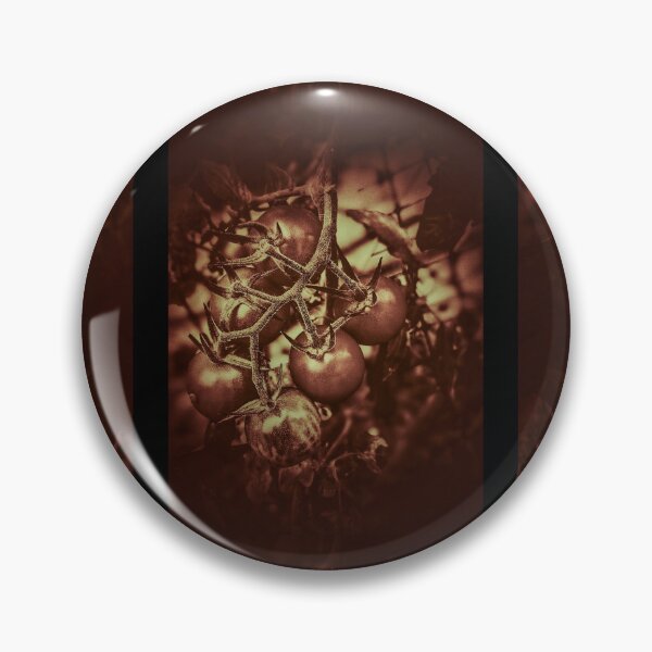 Artikelvorschau, Sepia-Kirschtomaten-Pflanzen-Fotografie-Design entworfen und verkauft von EarthArtDesigns.