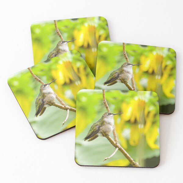 Item preview, Ruby Throated Hummingbird on Branch designed and sold by rmyerphoto.