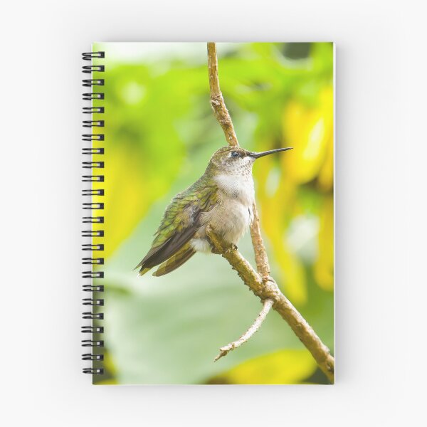 Item preview, Ruby Throated Hummingbird on Branch designed and sold by rmyerphoto.