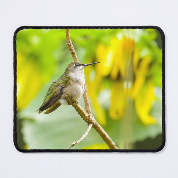 Item preview, Ruby Throated Hummingbird on Branch designed and sold by rmyerphoto.