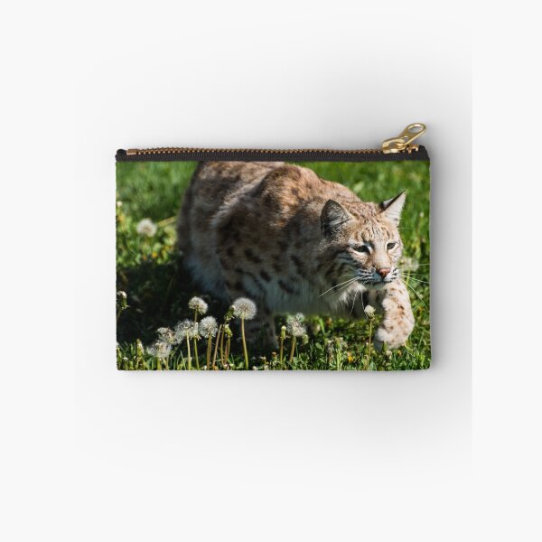 Item preview, Bobcat  designed and sold by Luann wilslef.