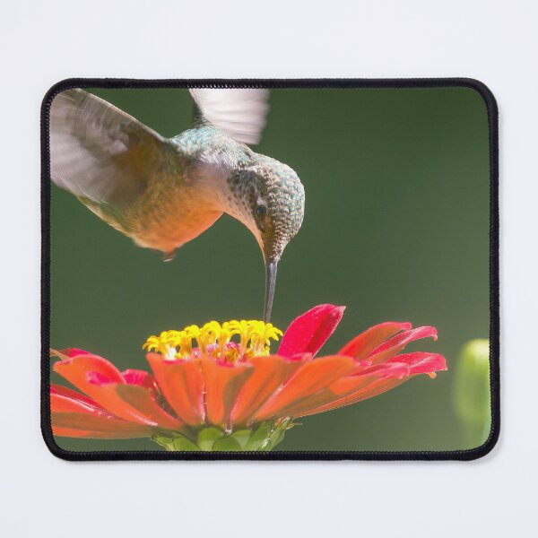 Item preview, Ruby Throated Hummingbird and Flower designed and sold by rmyerphoto.