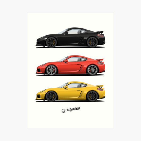 race reptiles Art Print
