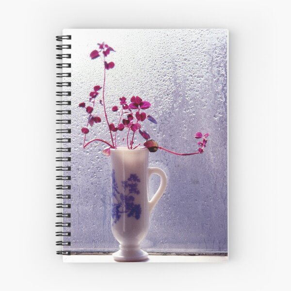 Item preview, VASE IN WINDOW   Nov 1979 designed and sold by Peter Stratton.
