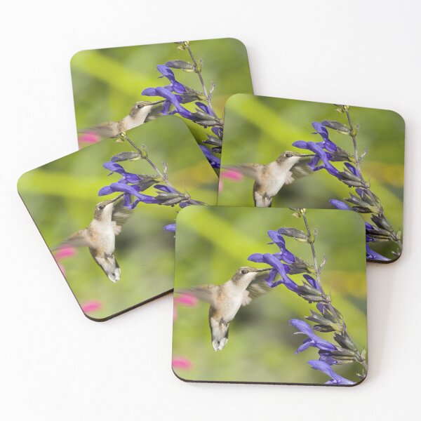 Item preview, Hummingbird with Salvia Flower designed and sold by rmyerphoto.