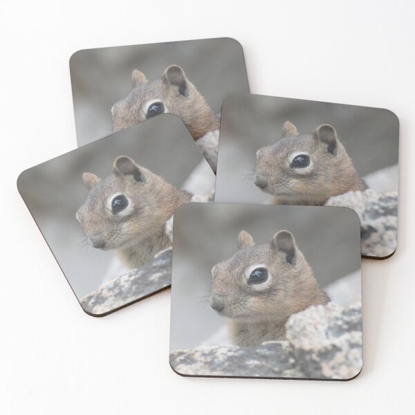 Item preview, Peekaboo! designed and sold by Photos By Michel.