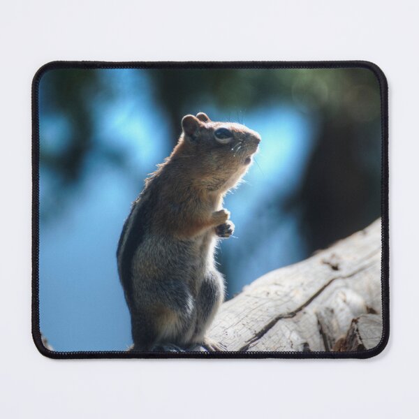 Item preview, Can I have some more, please? designed and sold by Photos By Michel.