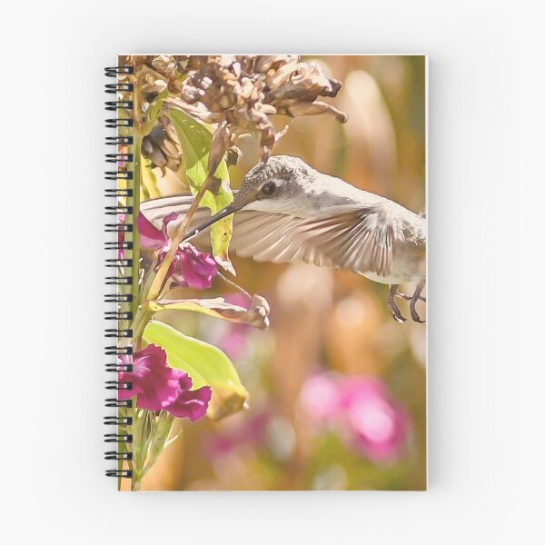 Item preview, Hummingbird in the Garden designed and sold by rmyerphoto.