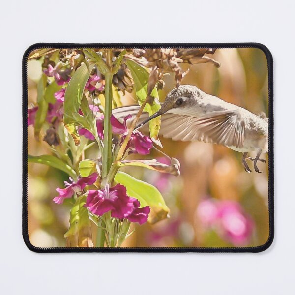 Item preview, Hummingbird in the Garden designed and sold by rmyerphoto.