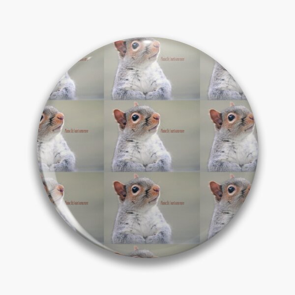 Item preview, Oliver Twist Squirrel designed and sold by Frankie Cat Photography.