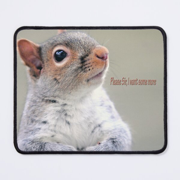 Item preview, Oliver Twist Squirrel designed and sold by Frankie Cat Photography.