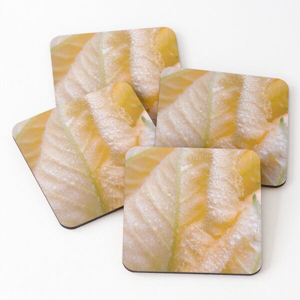 Item preview, Nourishing Prosperity #1 - Squash Blossom designed and sold by AHA-flowers.