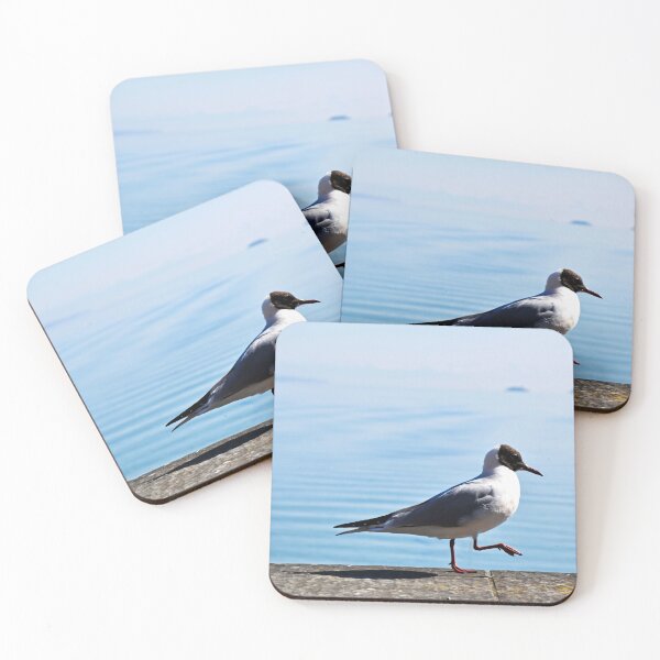 Item preview, Strolling Seagull | wildlife photography designed and sold by Mii-pics.