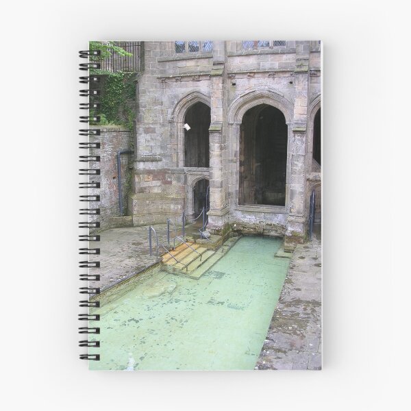 Item preview, St. Winefride's Well designed and sold by lezvee.
