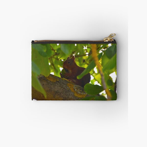 Item preview, Eating squirrel | nature photography designed and sold by Mii-pics.