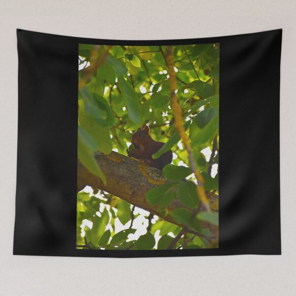 Item preview, Eating squirrel | nature photography designed and sold by Mii-pics.