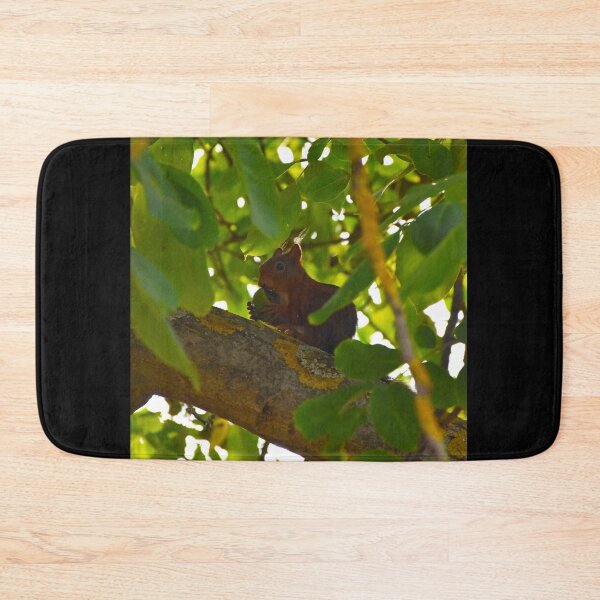 Item preview, Eating squirrel | nature photography designed and sold by Mii-pics.