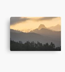 Stillness Canvas Print