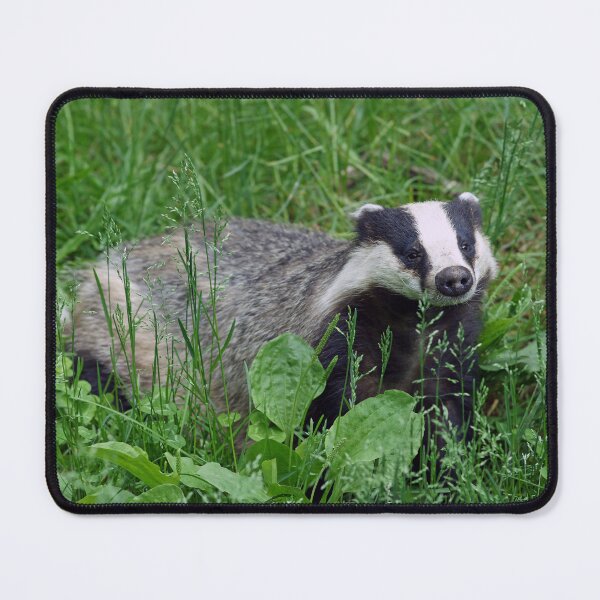 Item preview, Badgering Around designed and sold by Fearless-Fox.