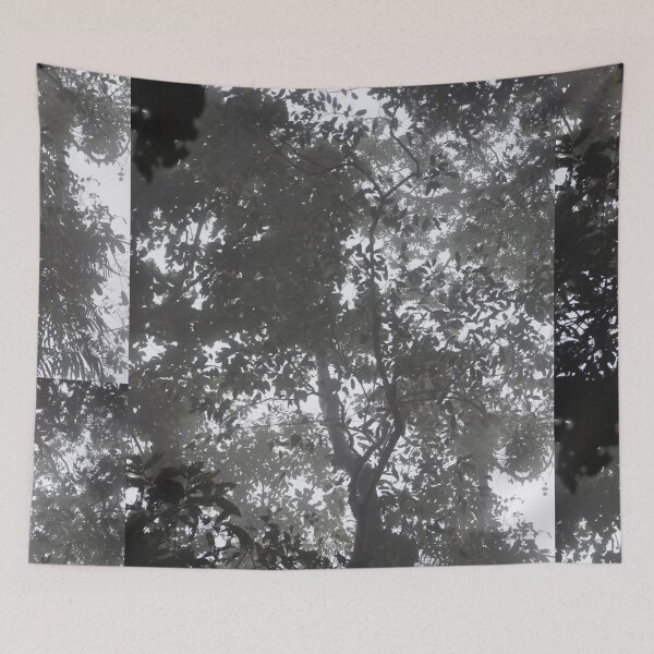 Item preview, Skyrail, North Queensland, Australia designed and sold by jeremydwilliams.