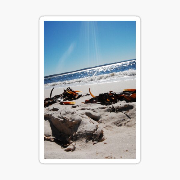 Item preview, Port Stephens, Sydney, Australia designed and sold by jeremydwilliams.