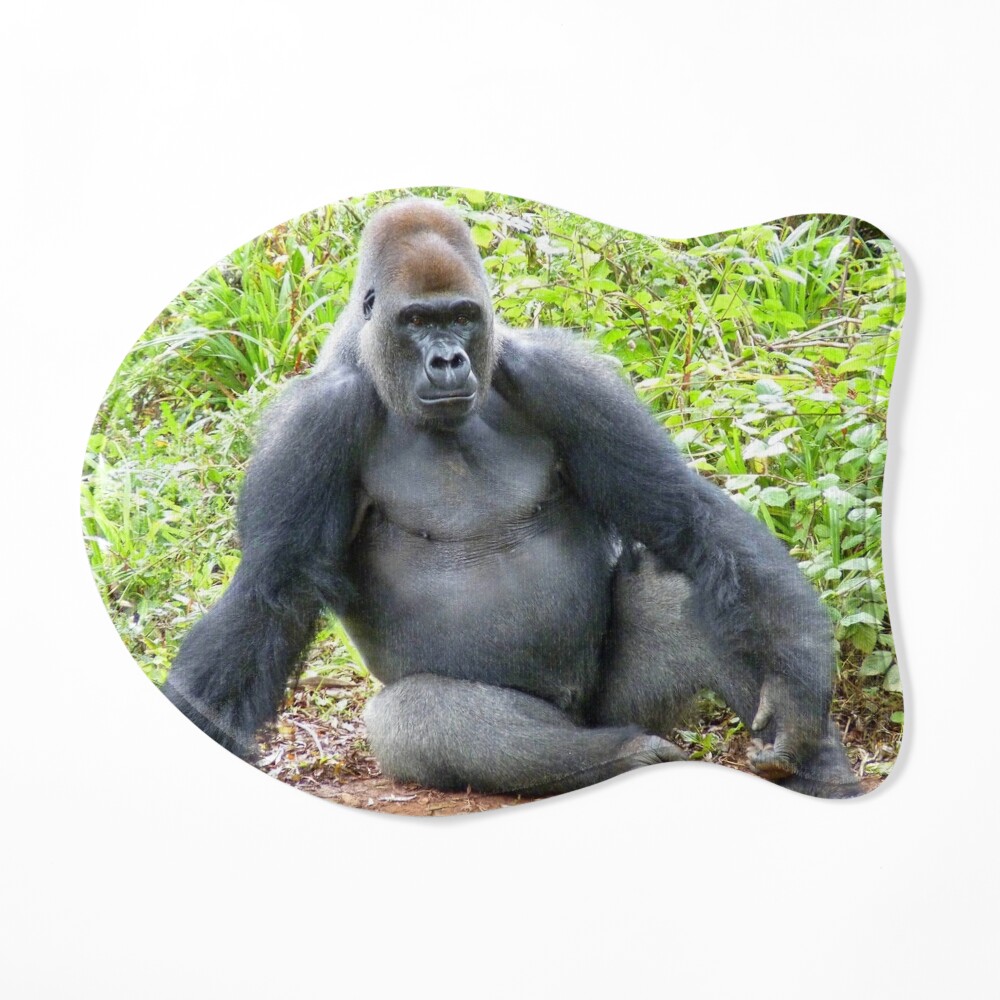 Silverback Gorilla 3d Soft Non-slip Mat Rug Carpet Foot Pad Gorilla Monkey  Gorillas Ape Wildlife Animals Nature Fitness Gym Zoo - Mat - AliExpress