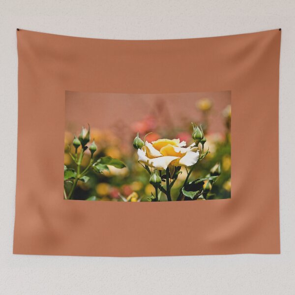 Item preview, Morocco. Hotel Kasbah Asmaa. Sunbathed Yellow Rose. designed and sold by vadim19.