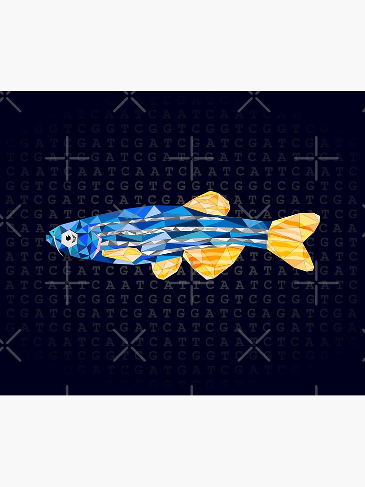 Gem Of Genetics Zebrafish Sticker For Sale By Tantrymsa Redbubble