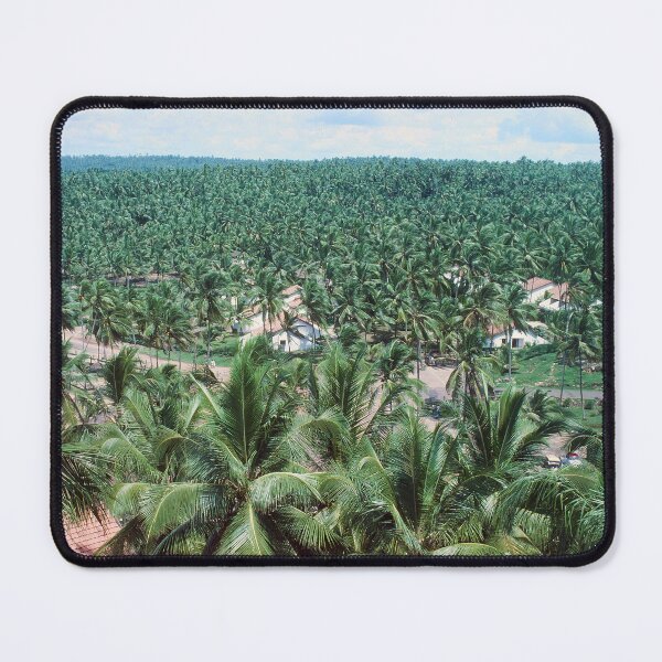 Item preview, 1970s - Palm trees and backwater of Kerala, India designed and sold by thatwaslife.