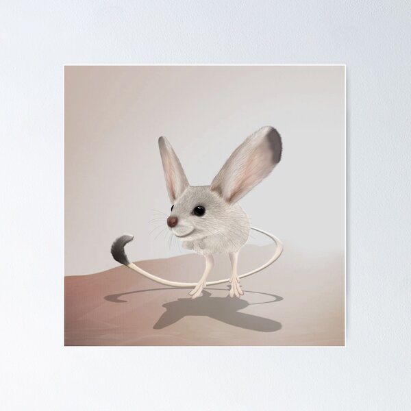 Poster Jerboa Redbubble