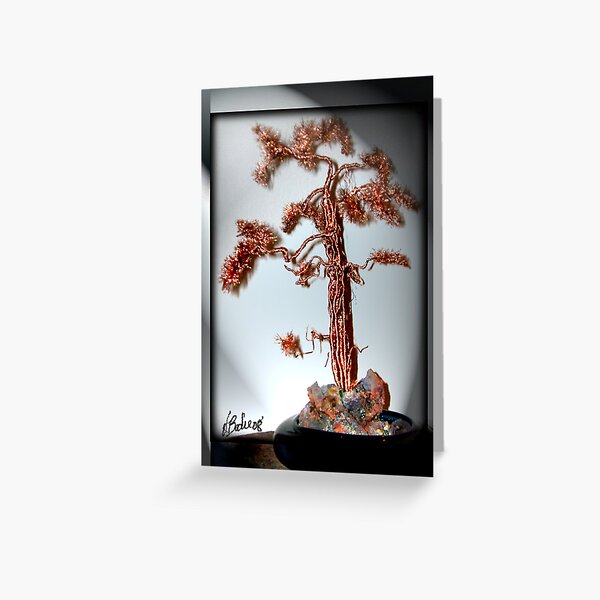 Old Pine Tree Greeting Card