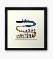 evolution Framed Print
