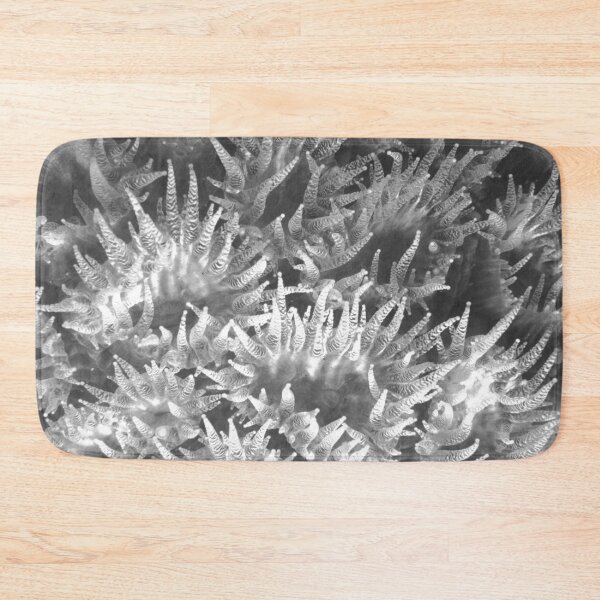 Item preview, Soft coral art work designed and sold by Twenty Twenty Visions.