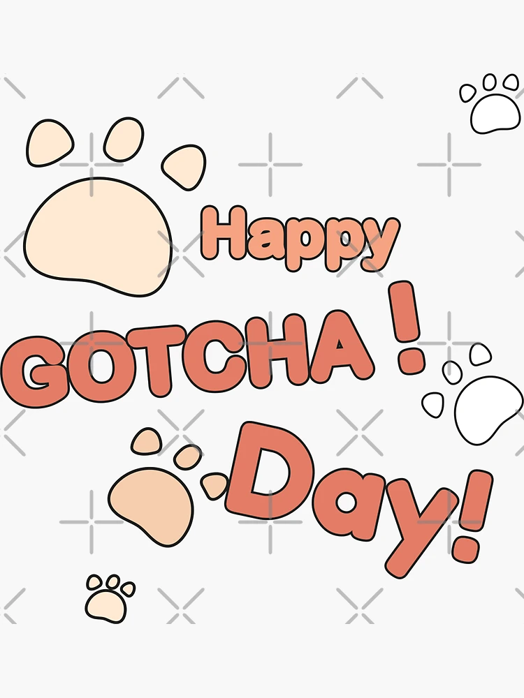 Gotcha day gifts dog sale