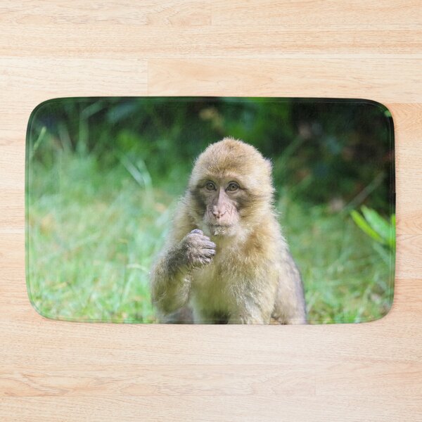 Item preview, Juvenile barbary macaque designed and sold by GreyFeatherPhot.