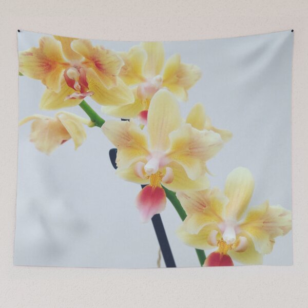 Item preview, Floral Flamboyance designed and sold by Jenny Wagg.