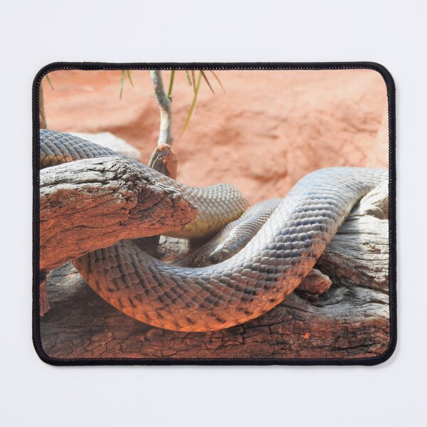 Item preview, Inland Taipan designed and sold by kirstybush.