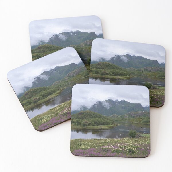 Item preview, Wonderful landscapes in Norway. Nordland. Beautiful scenery of a coastline at Fiskebol, Lofoten Islands. Rippled sea in a cloudy summer day. Seagulls, pink flowers and snowed mountains  designed and sold by Maurizio Fabbroni.
