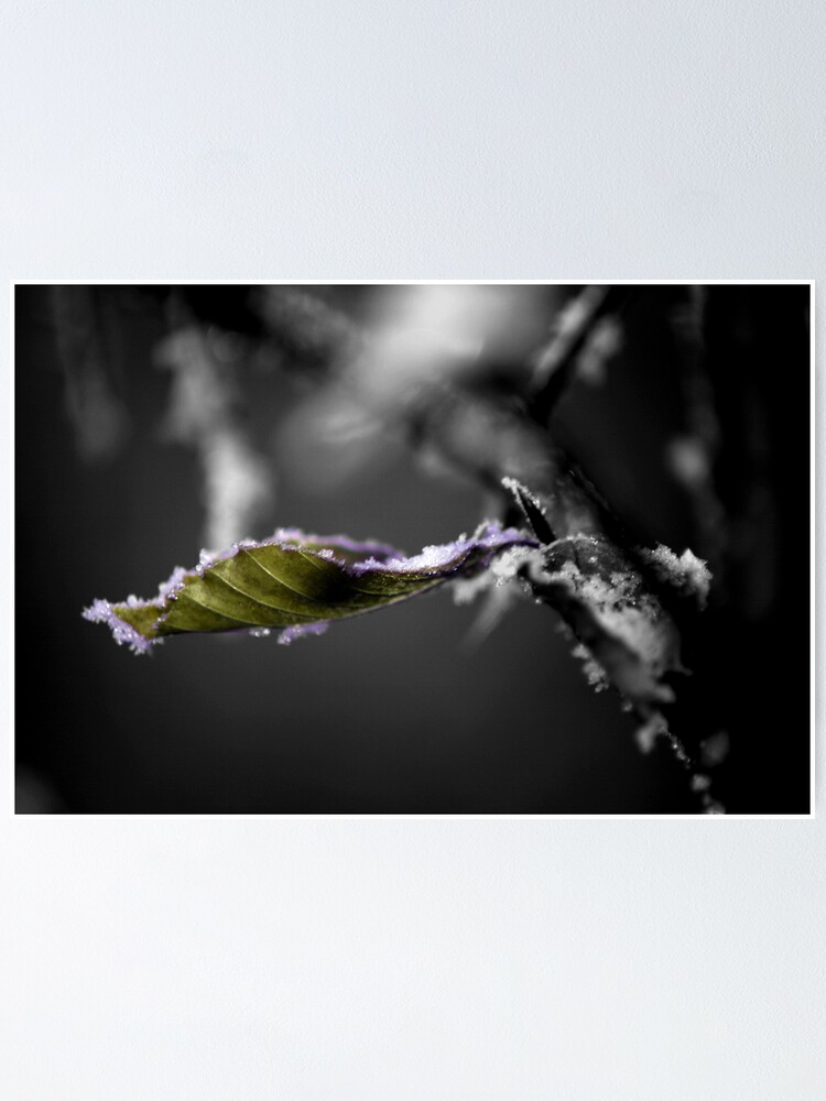 Alternate view of Leaf it Poster