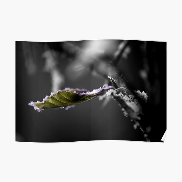 Leaf it Poster
