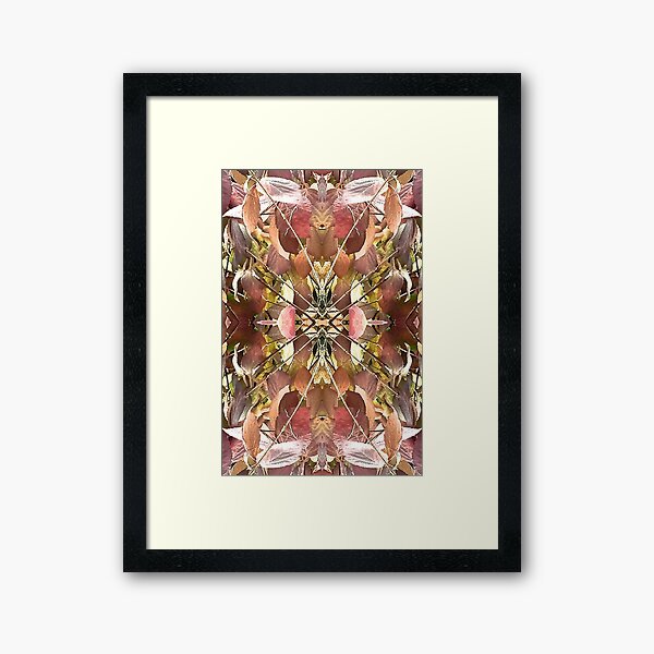 Virginia Autumn 7 Framed Art Print
