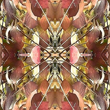 Artwork thumbnail, Virginia Autumn 7 by HeatherWasaff