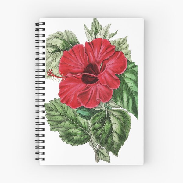 Item preview, Chinese rose mallow Flower designed and sold by Artisticlance.